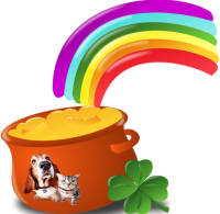 a rainbow and pot of gold